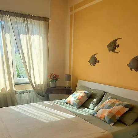 Carlotta's House