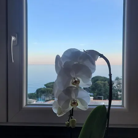 Carlotta's House Apartment *